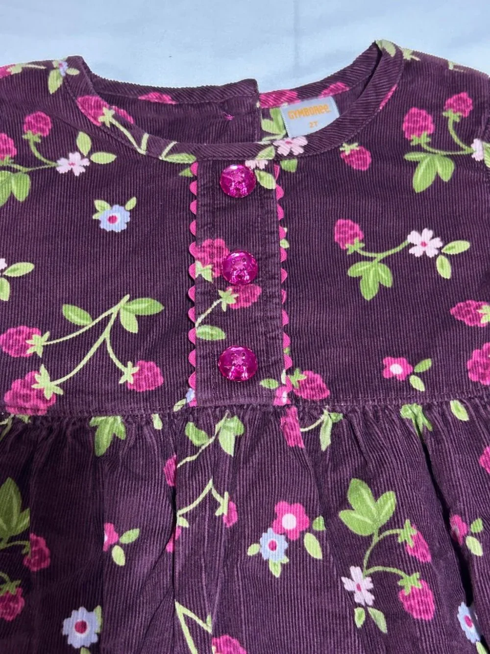 Gymboree girls 2t